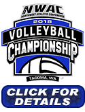 Volleyball Championhip Link image
